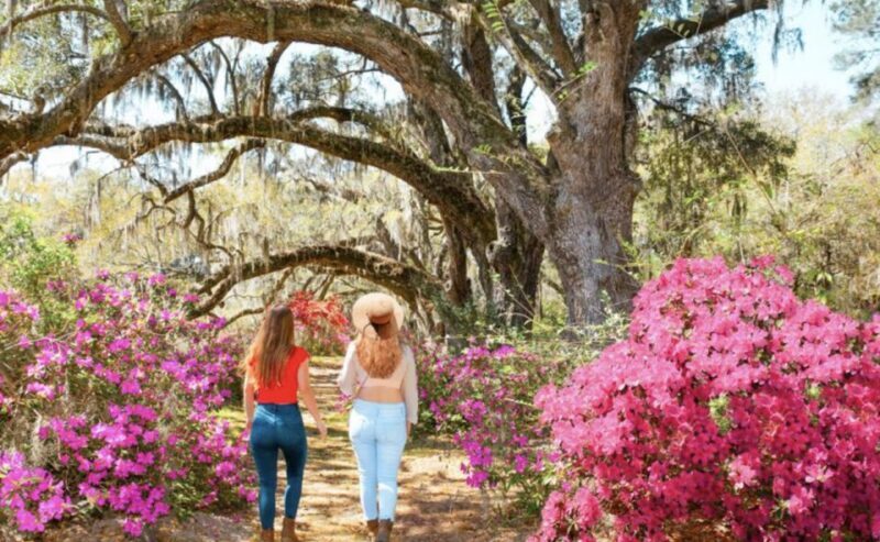 Charleston: Historic City Tour & Magnolia Plantation Combo - Practical Tips for a Smooth Experience