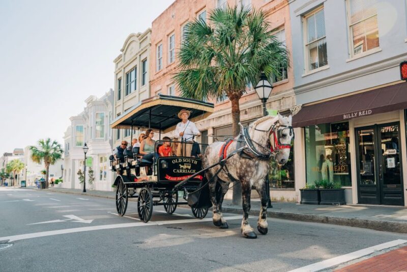 Charleston: Historical Downtown Tour by Horse-drawn Carriage - The Guides and Horses: Making It Special