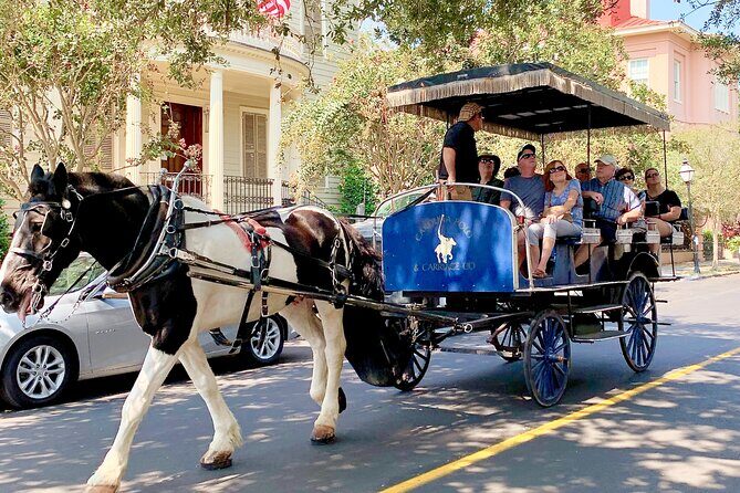 Charleston Horse & Carriage Historic Sightseeing Tour - What to Expect from the Charleston Horse & Carriage Tour