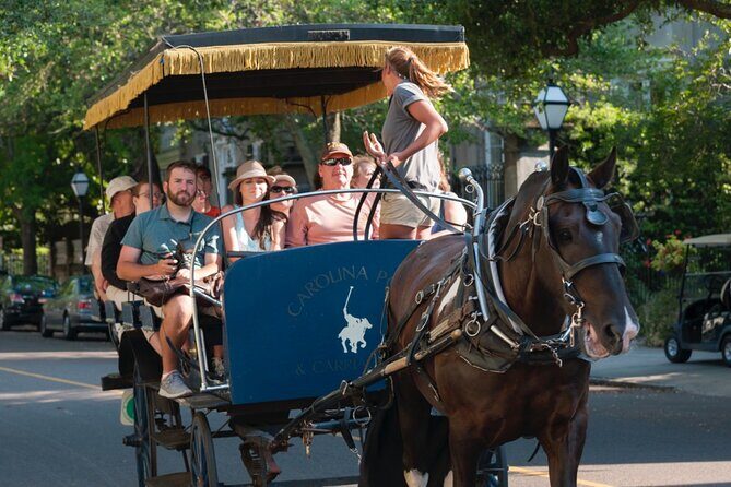 Charleston Horse & Carriage Historic Sightseeing Tour - FAQ