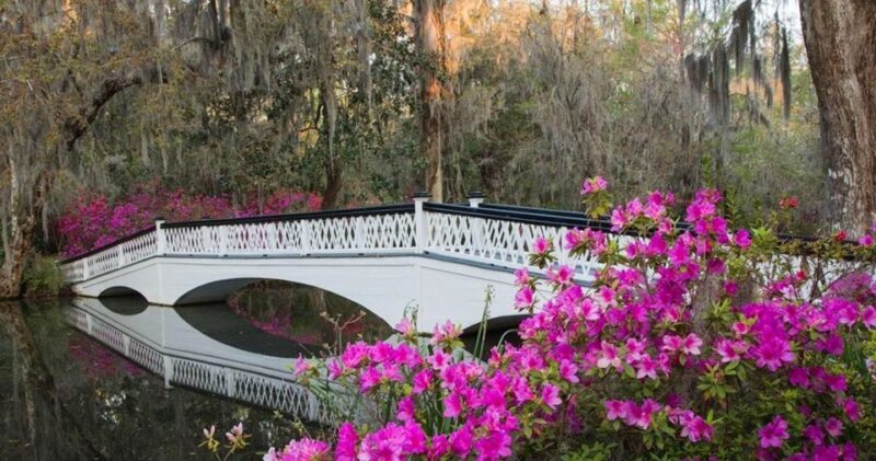 Charleston: Magnolia Plantation Entry & Tour with Transport - Value for Money