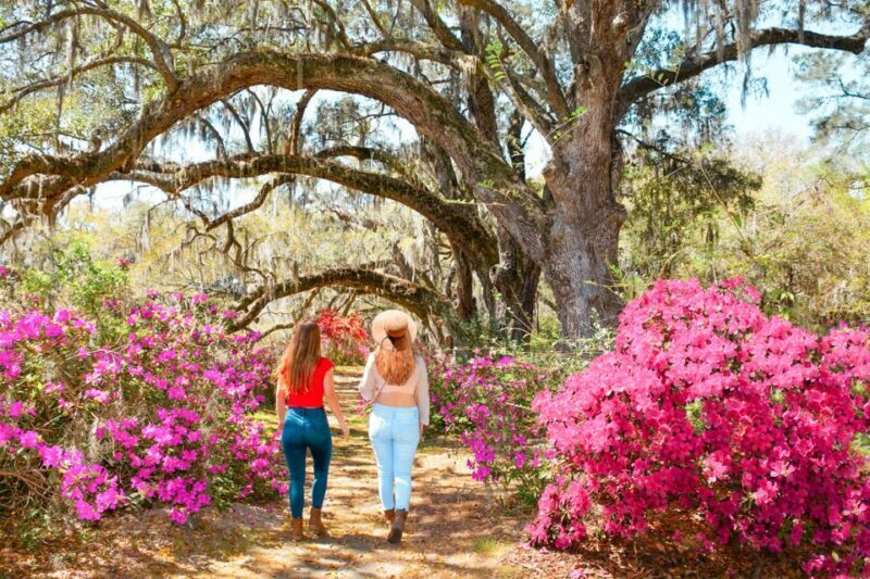Charleston: Magnolia Plantation Entry & Tour with Transport - Who This Tour Is Best For