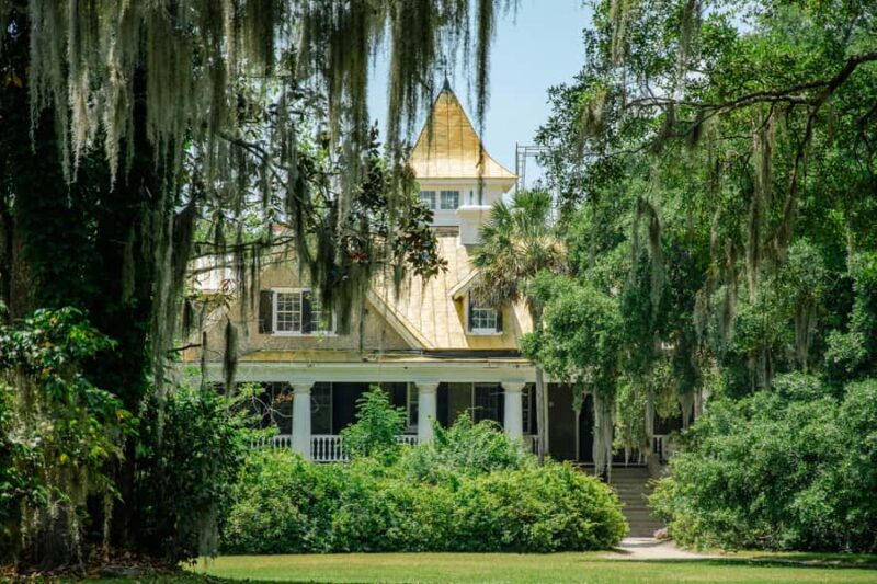 Charleston: Magnolia Plantation with Transport and City Tour - What to Expect from the Tour