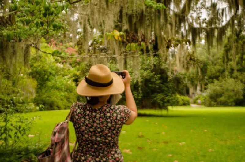Charleston: Magnolia Plantation with Transport and City Tour - The Value of the Tour