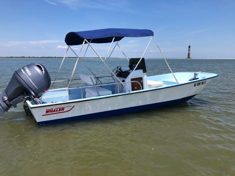 Charleston: Morris Island Dolphin Cruise with Beachcombing - Key Points