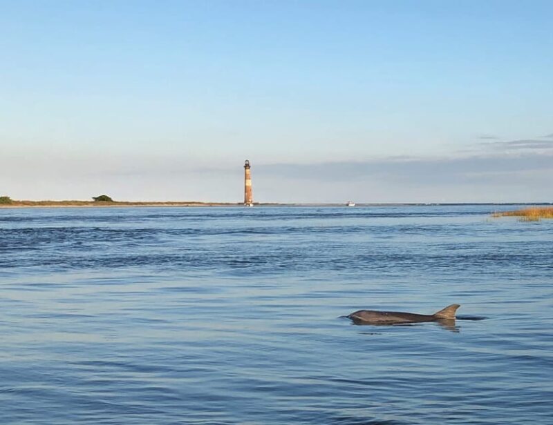 Charleston: Morris Island Dolphin Cruise with Beachcombing - Practical Tips for Your Trip