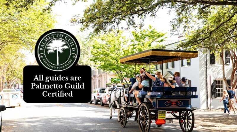 Charleston, SC: Private Daytime Horse-Drawn Carriage Ride - Key Points