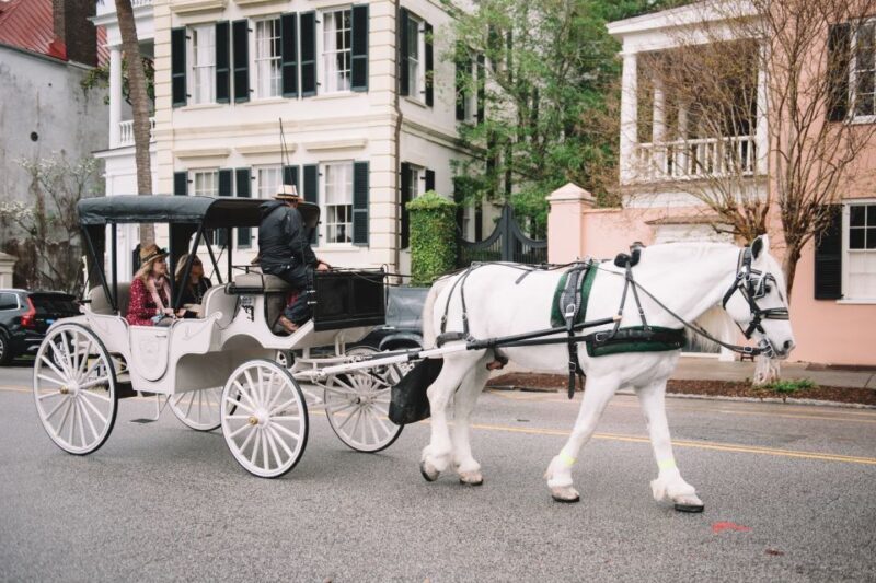 Charleston, SC: Private Daytime Horse-Drawn Carriage Ride - An In-Depth Look at the Experience
