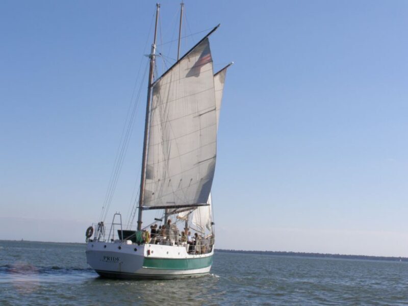 Charleston: Schooner Sailing Harbor Tour & Dolphin Watch - What to Expect on the Charleston Schooner Harbor Tour