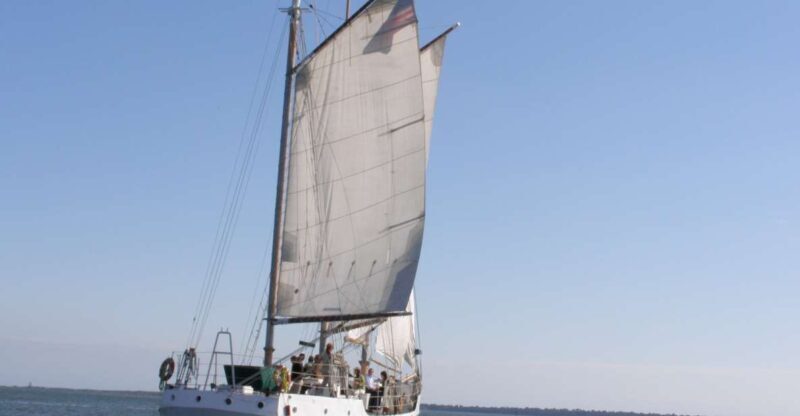 Charleston: Schooner Sailing Harbor Tour & Dolphin Watch - Who Should Consider This Tour?