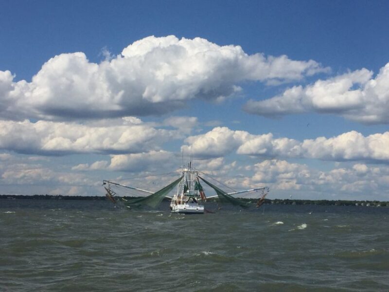 Charleston: Sunset Harbor Cruise - What to Expect on the Charleston Sunset Harbor Cruise