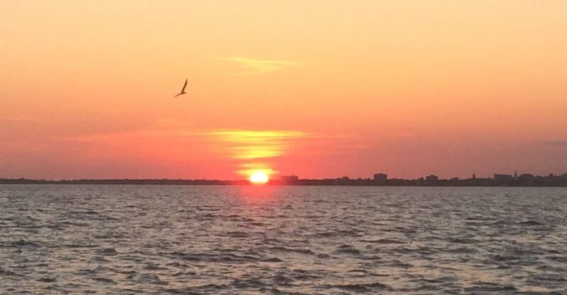 Charleston: Sunset Harbor Cruise - The Real Value: Why It’s Worth the Price