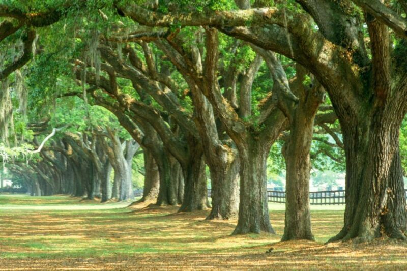 Charleston: Tour Pass with 40+ Attractions - FAQ