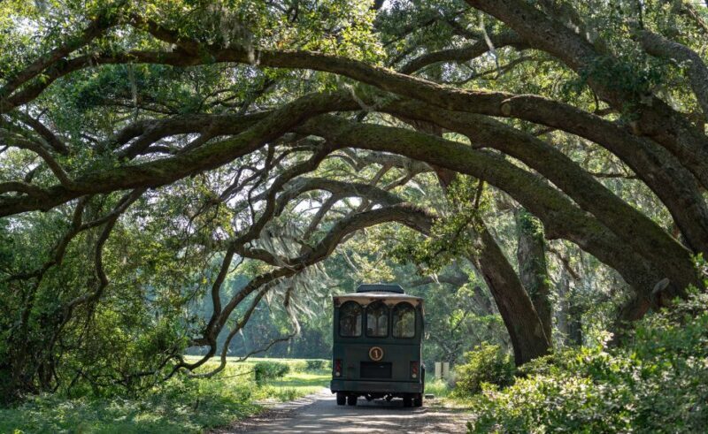 Charleston: Wadmalaw Island Wine Tasting and Tea Garden Trip - FAQs