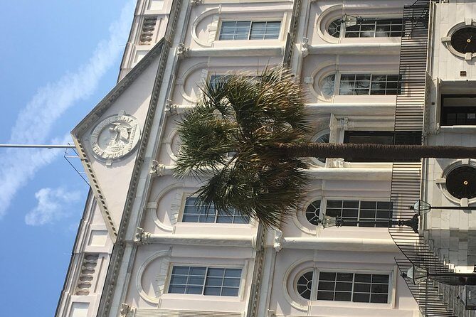 Charleston Walking Tours with Ann - A Deep Dive into What You Can Expect
