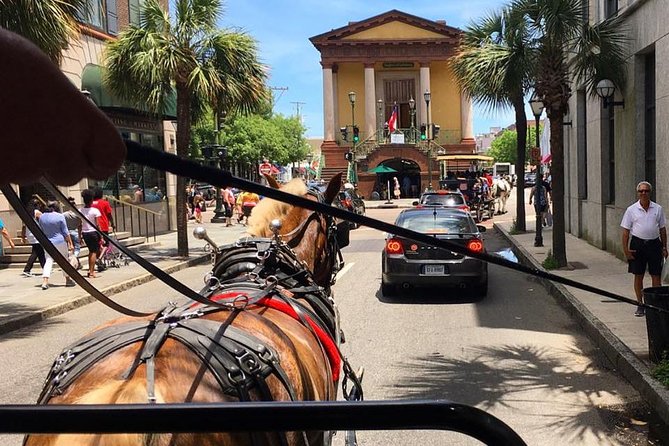 Charleston’s Old South Carriage Historic Horse & Carriage Tour - Price and value: why $50 can feel fair for this hour