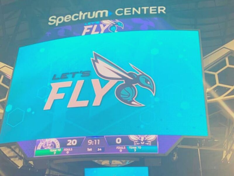 Charlotte: Charlotte Hornets Basketball Game Ticket - Who Is This Best For?