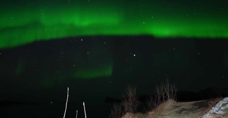 Chase the Magic of the Northern Lights in Tromsø Norway - What makes this Northern Lights tour stand out?