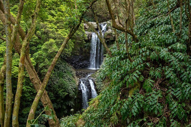 Chasing Waterfalls in the Azores - What to Expect from the Waterfall Tour