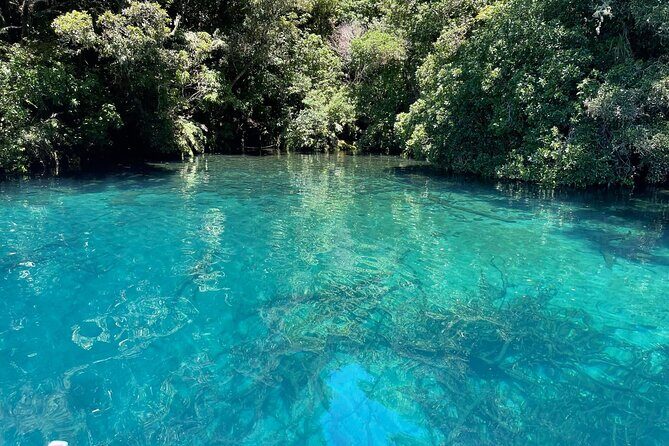 Chasing Waterfalls The Adventurer from Kinloch Marina - Wrapping It Up