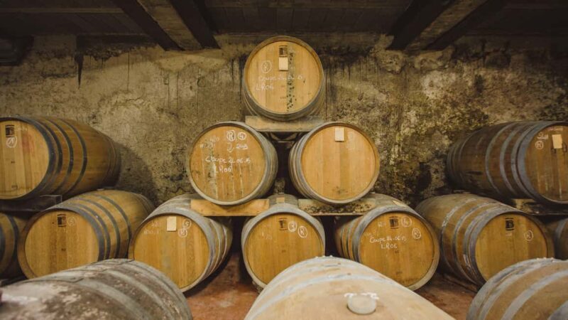 Château Arton Guided Tour and Armagnac Tasting - Key Points