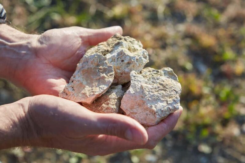 Château Arton Guided Tour and Armagnac Tasting - Final Thoughts