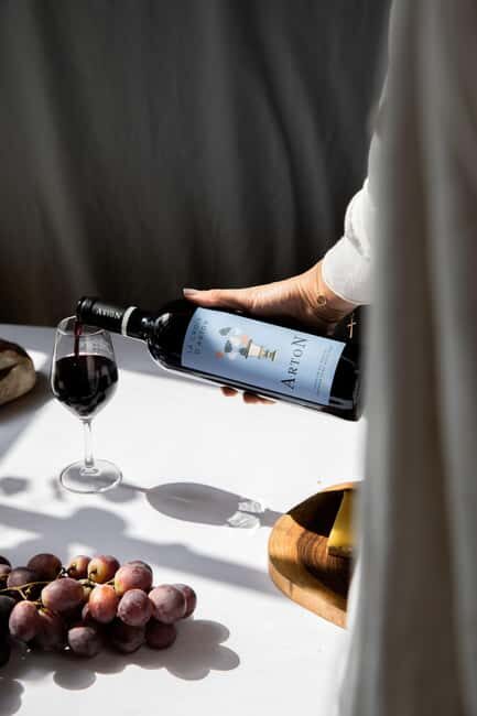 Château Arton : The Secrets of Haut-Armagnac Experience - Starting with the Vineyard