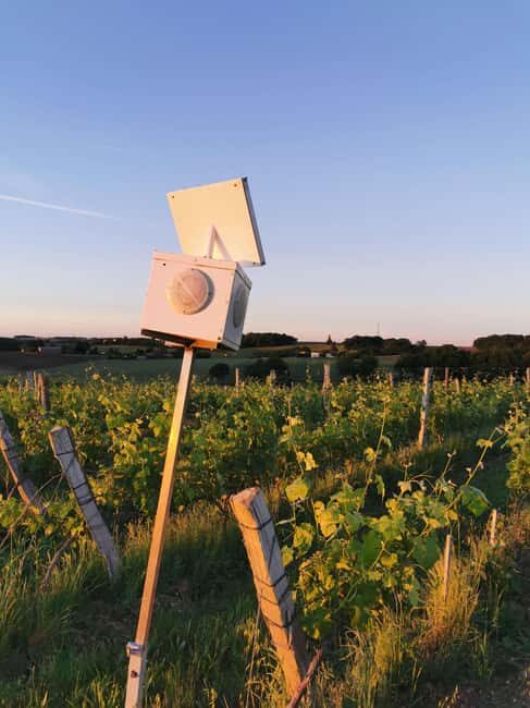 Château Arton : The Secrets of Haut-Armagnac Experience - Who Is This Tour Best For?