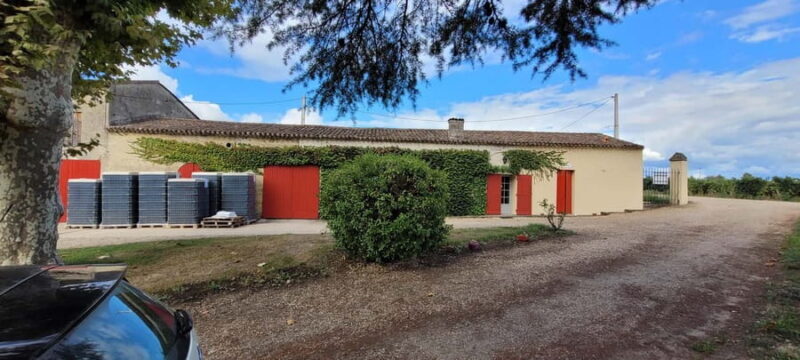 Château Cantelaube: tour and tasting at an unusual wine estate - Discovering Château Cantelaube: A Genuine French Wine Experience