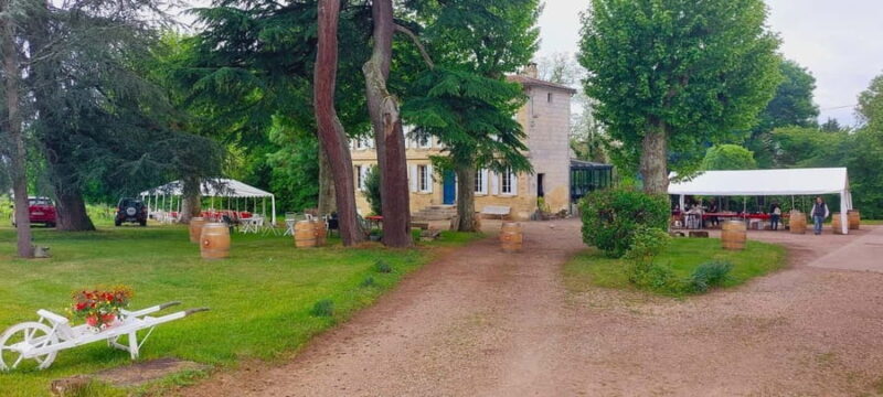 Château Cantelaube: tour and tasting at an unusual wine estate - What to Expect from Your Château Cantelaube Visit