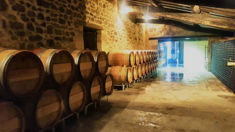 Château Cantelaube: tour and tasting at an unusual wine estate - Why This Tour Works Well