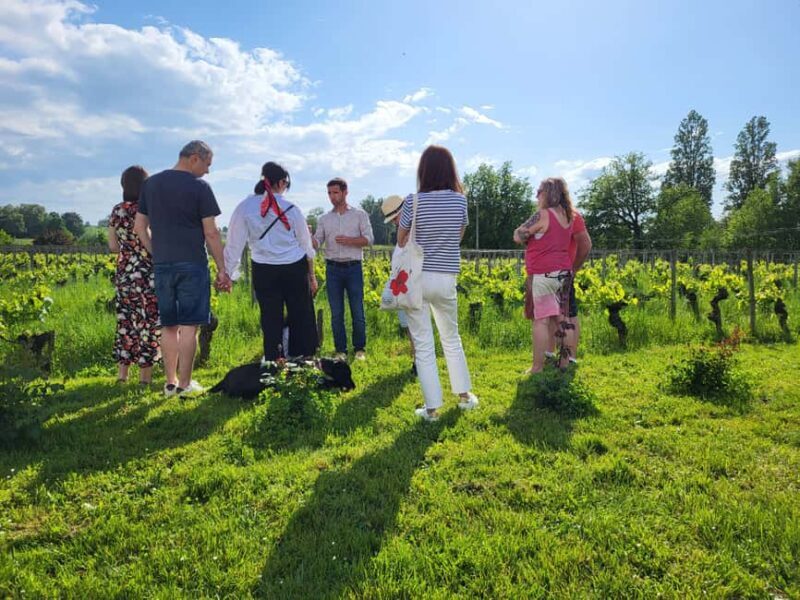 Château Champion: Picnic at the winemaker's - Final Thoughts