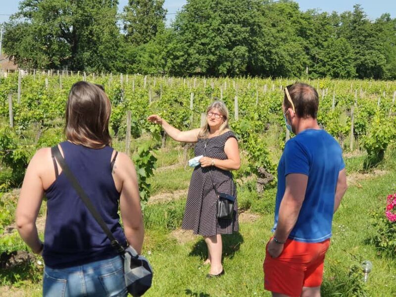 Château Champion: Prestige Tour "Terroirs and Vintages" - Key Points