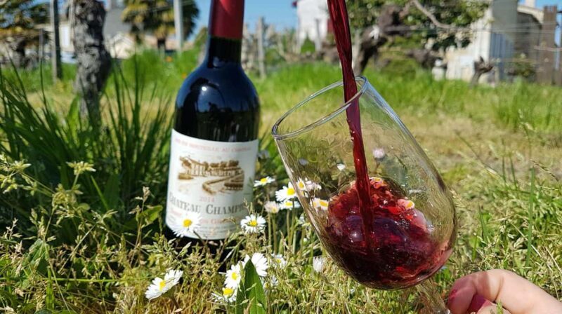 Château Champion: Prestige Tour "Terroirs and Vintages" - The Practical Details