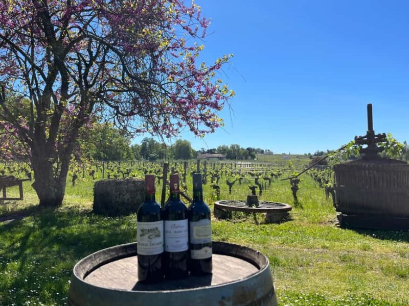 Château Champion: Sensory Workshop - Who Will Enjoy This?