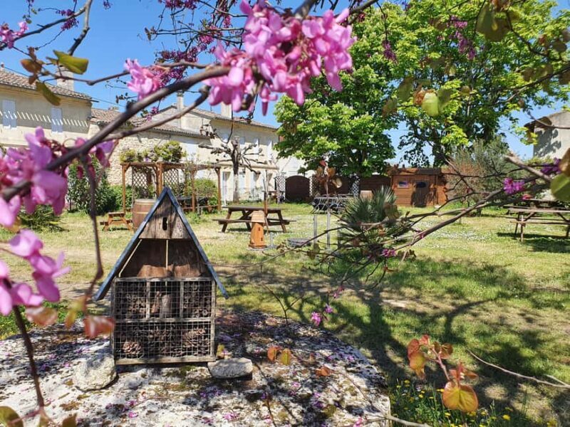 Château Champion: Sensory Workshop - The Sum Up