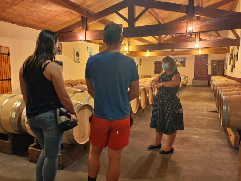 Château Champion: Tour and tasting with tapas - The Food and Atmosphere