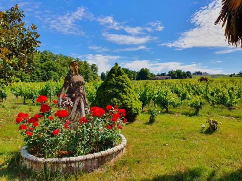 Château Champion: Treasure hunt in the vineyard - Key Points