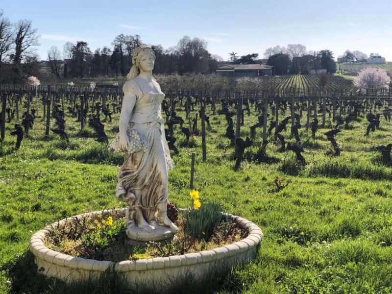 Château Champion: Winter walk and comfort by the fire - Who Should Consider This Tour?