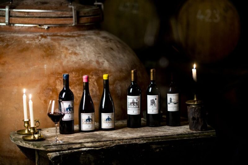 Château de Luc: Unique visit and wine tasting - Key Points