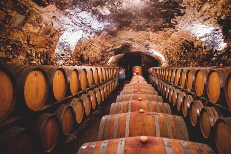 Château de Luc: Unique visit and wine tasting - Final thoughts