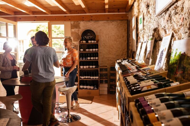 Château de Luc: Unique visit and wine tasting - FAQ