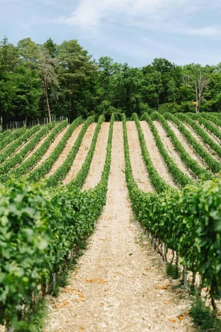 Château de Tavannes: a guided tour of the outdoor estate and the basements - Who is this tour best suited for?