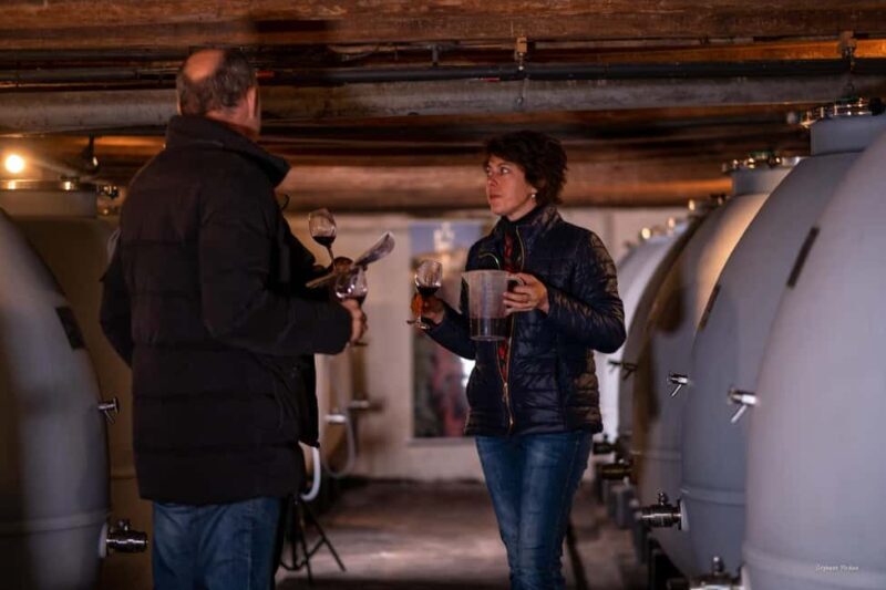 Château de Terride: tour of the wine cellar & wine tasting - What to Expect from the Château de Terride Tour and Tasting
