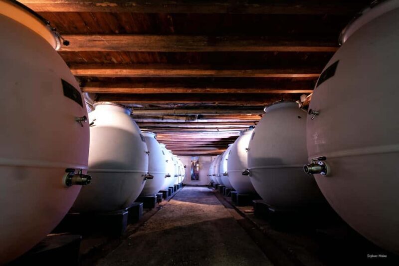 Château de Terride: tour of the wine cellar & wine tasting - Value for Money