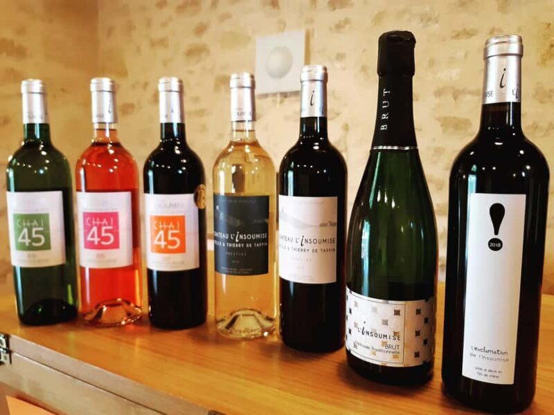 Château l'Insoumise: tour of the cellars and vineyard with tasting - An Honest Look at the Château lInsoumise Tour