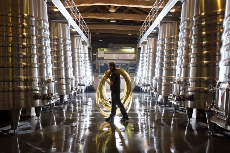 Château Olivier: One Hour Vineyard Tour with Wine Tasting - What to Expect from Your Visit to Château Olivier