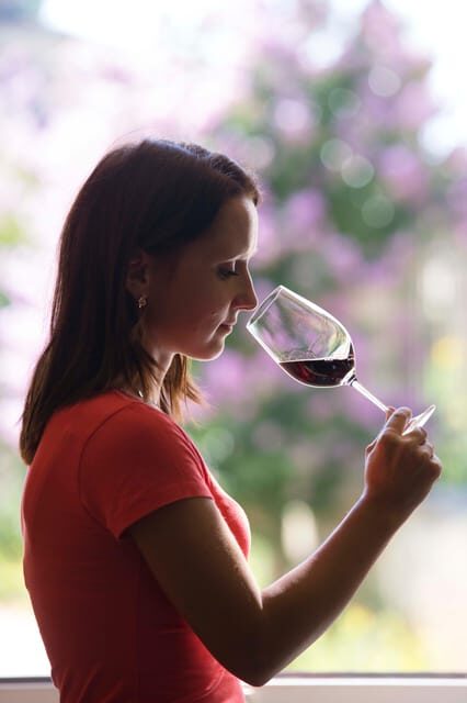 Château Olivier: One Hour Vineyard Tour with Wine Tasting - Group Size and Accessibility