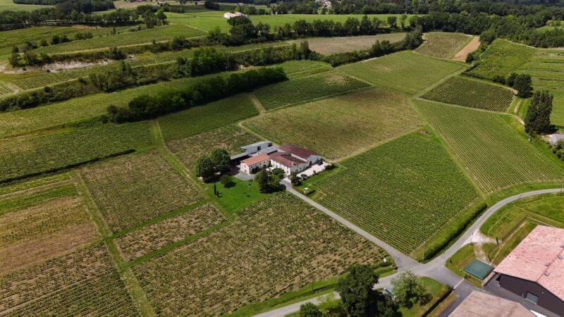 Château Petit Mangot's aperitif: charcuterie, cheeses, and wines - An In-Depth Look at Château Petit Mangot’s Aperitif Tour