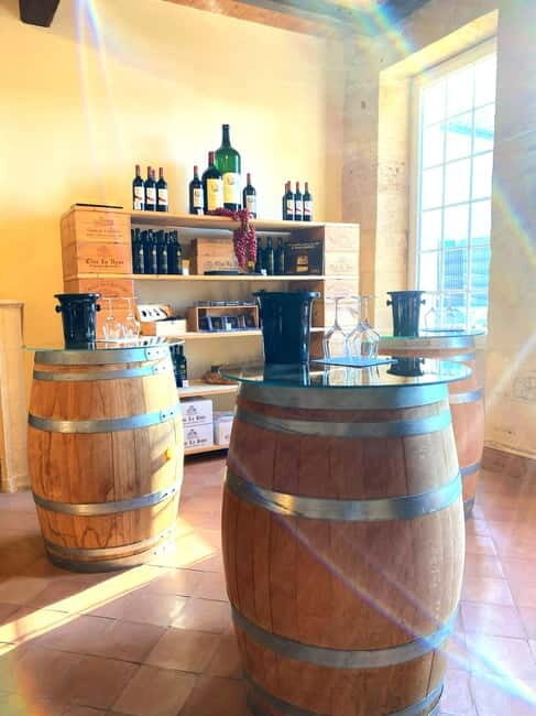 Château St-Emilion Grand Cru visit and Grand Cru and Pomerol tasting - Why This Tour Is Worth Considering